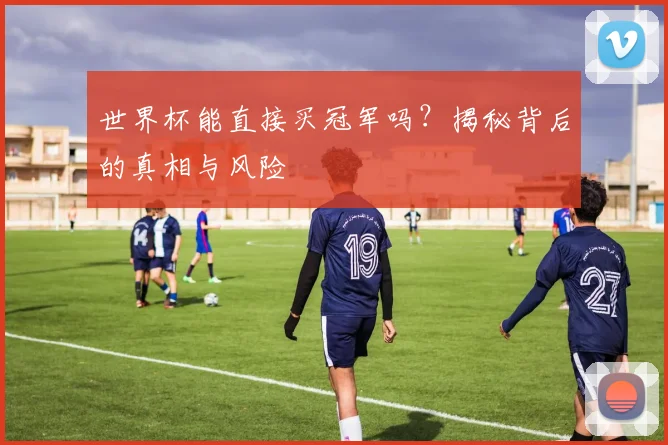 世界杯能直接买冠军吗？揭秘背后的真相与风险