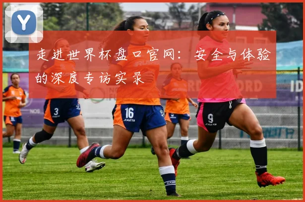 走进世界杯盘口官网：安全与体验的深度专访实录