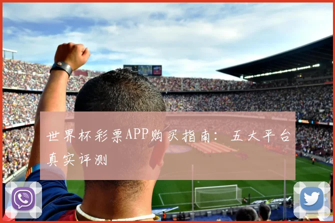 世界杯彩票APP购买指南:五大平台真实评测