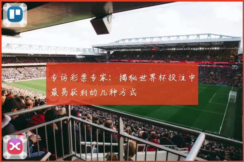 专访彩票专家:揭秘世界杯投注中最易获利的几种方式