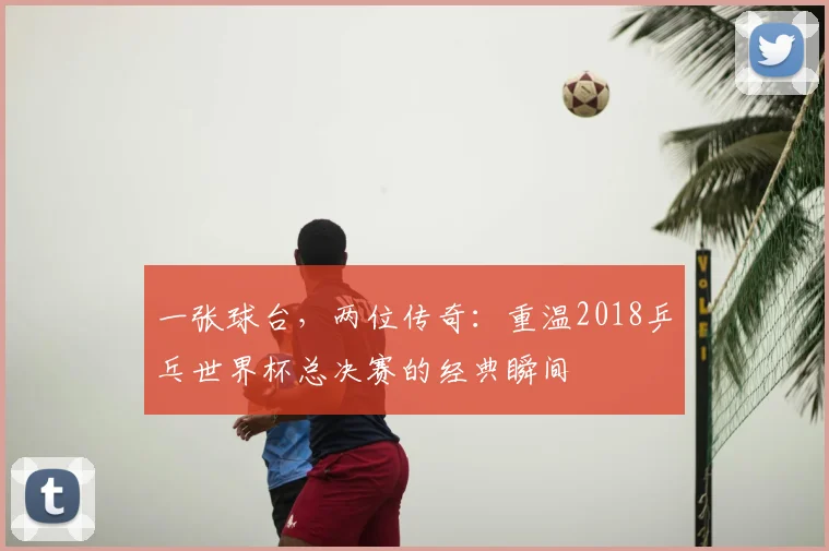 一张球台,两位传奇:重温2018乒乓世界杯总决赛的经典瞬间