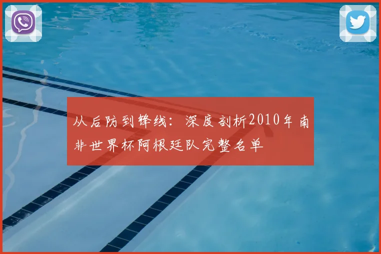 从后防到锋线:深度剖析2010年南非世界杯阿根廷队完整名单