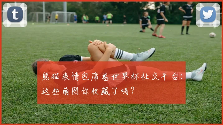 熊猫表情包席卷世界杯社交平台：这些萌图你收藏了吗？
